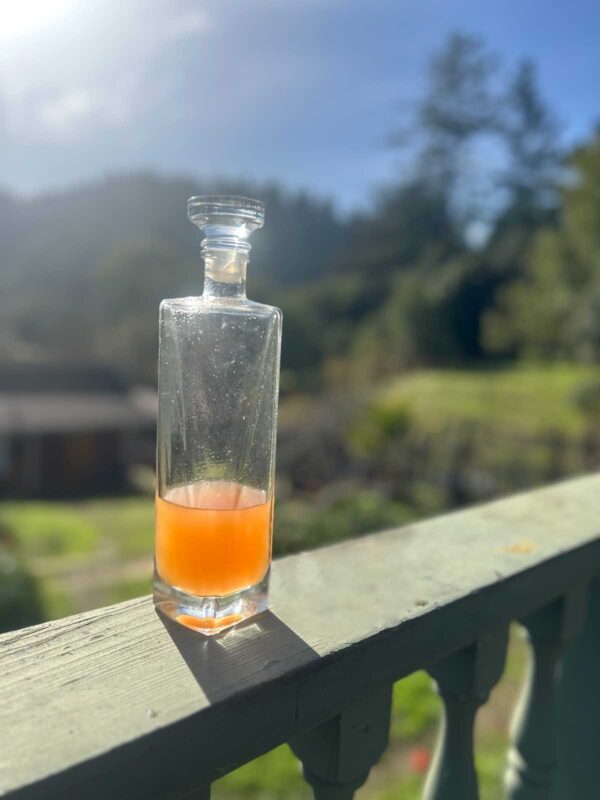 Cantaloupe Shrub